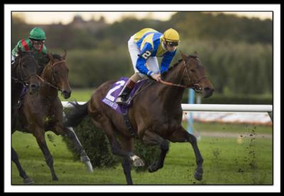B-SHIROCCO, Christoper Soumillon, Turf_DSC0101EDIT.jpg