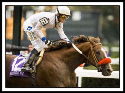 B-STEVIE WONDERBOY, Garrett Gomez, WINS JUVENILE