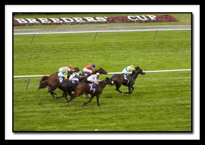 D_0049-Netjets Mile-Artie Schiller wins.jpg