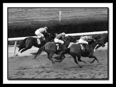 D_0320-Super Frolic #7 Runs 4th in CLASSIC