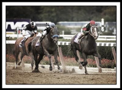 B-SILVER TRAIN Prado Sprint.B_DSC0070.jpg