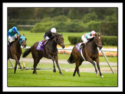g3/31/236931/3/53514926.BOUIJABOARDandINTERCONTINENTALFillyMareTurf__DSC0005.jpg