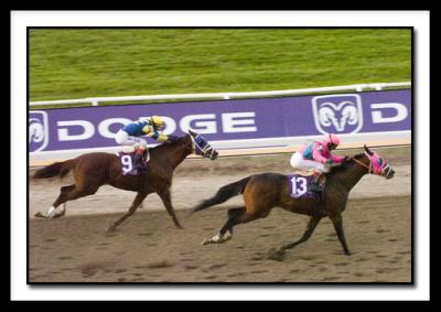 D-Saint Liam Wins Classic_0308.jpg