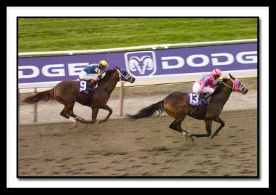 D-Saint Liam Wins _0309.jpg