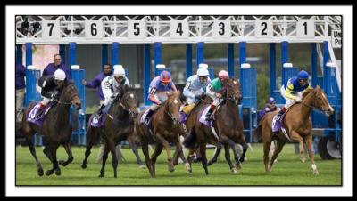 B-start of Turf_DSC0183EDIT.jpg