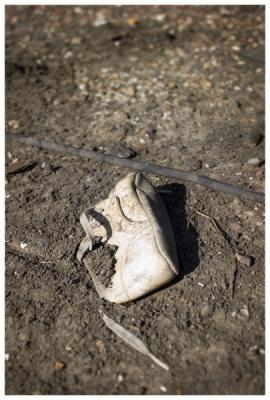 M-NO-babyshoe.jpg