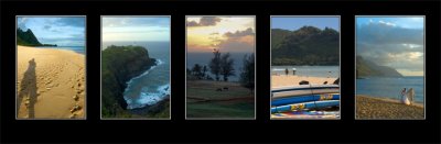 d-kauai copy.jpg