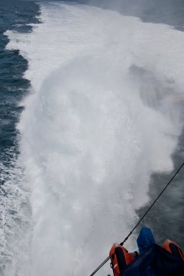 IMG_4556.jpg