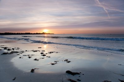 IMG_4600.jpg