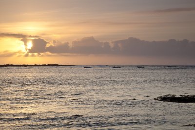 IMG_5945.jpg