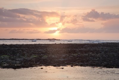 IMG_5964.jpg