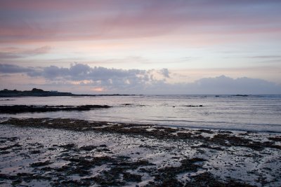 guernsey_2009