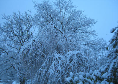 g3/31/275231/3/57061970.Snow04.jpg