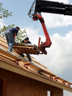 Shingles-2.JPG