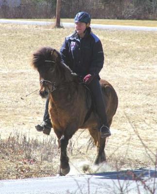 Amy&Moli_tolt.jpg