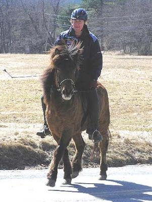 Amy&Moli_tolt_2.jpg