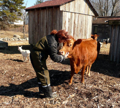 Amy&Calf-1.JPG