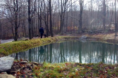 Pond - Fall 2002