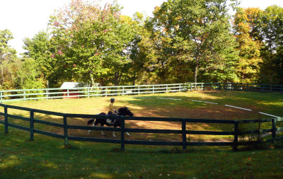 Riding Ring - Oct 2007