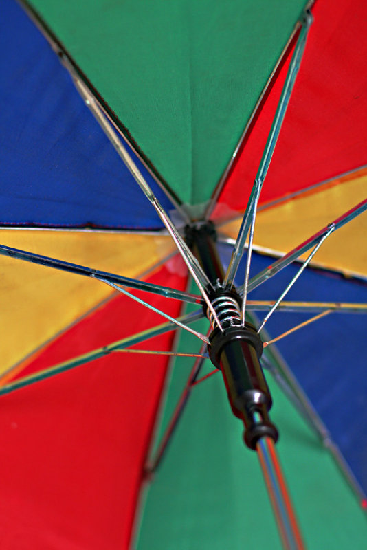IMG_9043 TITC - Umbrella