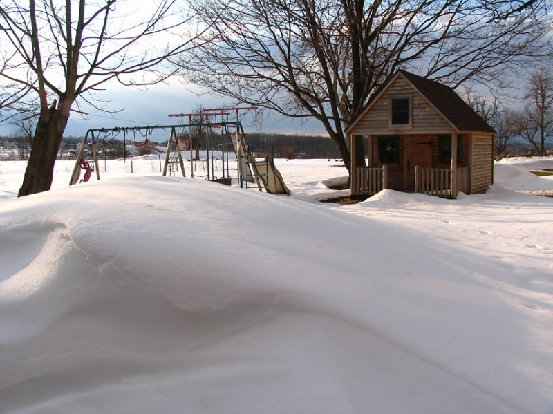 IMG_6681 Backyard