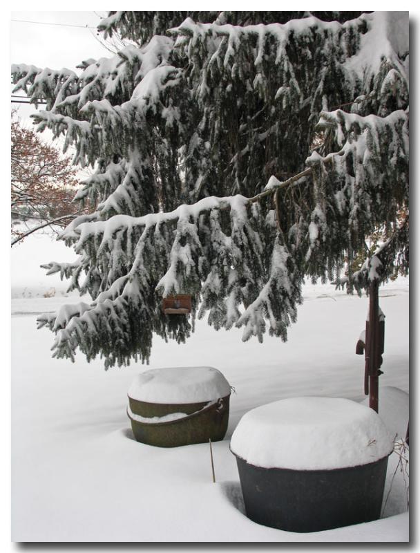 Wintery view