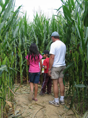 IMG_4558_ Corn maze