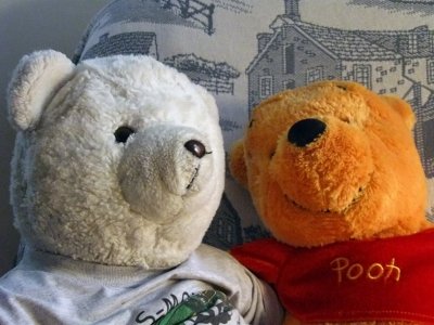 IMG_0332 Beary 'n Pooh Bear  *