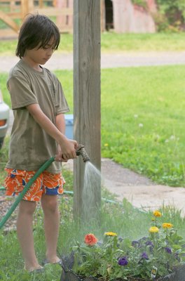 IMG_6926_Watering Flowers