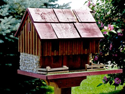IMG_6153_A fancy birdhouse