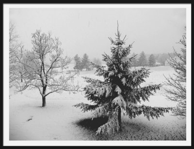 CRW_6607 First snowfall