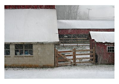 IMG_8867 Let it snow !