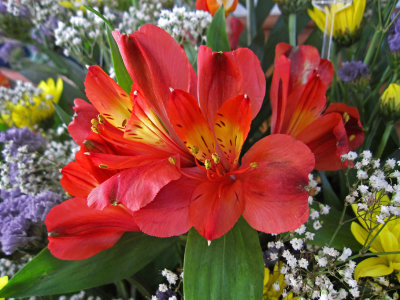 Flowers