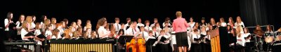 Spring Chorus concert pano