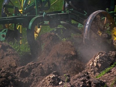 IMG_6816 Plowing the dirt