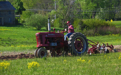 IMG_6798 Farmall plowing