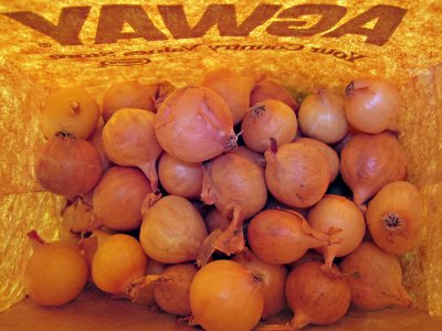 Yellow Onions