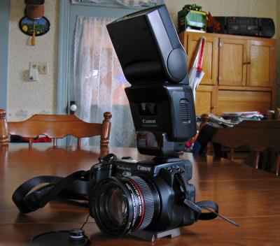 Canon Pro 1 with the 420EX
