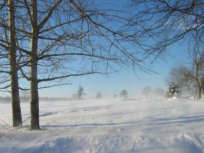 Winter Blizzard