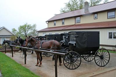 Amish horse and buggies