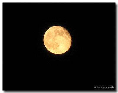 CRW_2622_The Full Moon