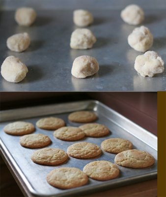 IMG_9815_Snickerdoodles ... before & after ...