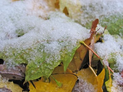 IMG_9848_First snow