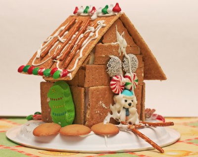 IMG_0130_Son's gingerbread house