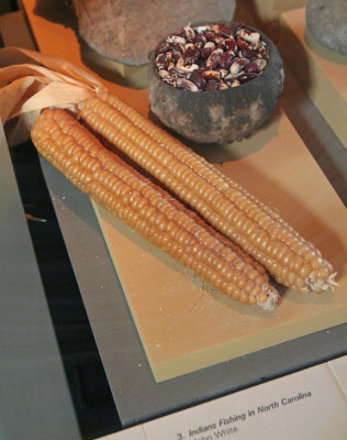 IMG_2136_ Corn back then