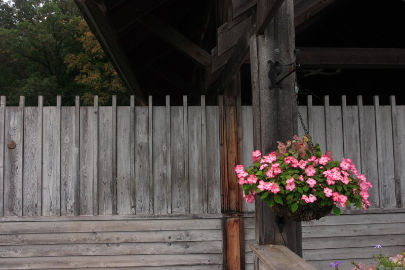 CRW_5005.JPG
