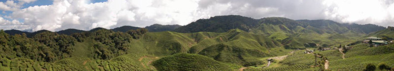 Panoramic View of Cameron Valley (Cameron Highlands, Malaysia)