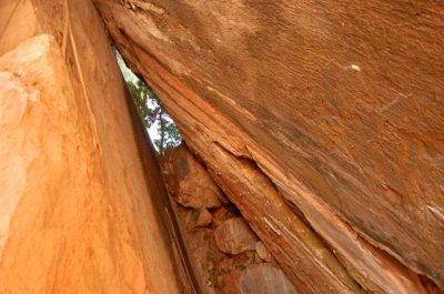DSC_0208.jpg