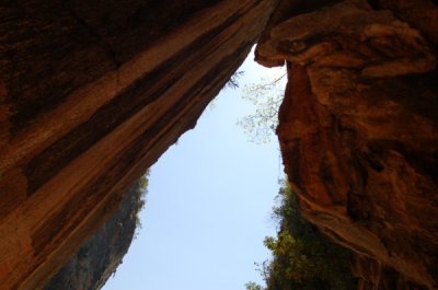 DSC_0210.jpg