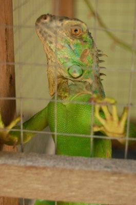 DSC_0924.jpg